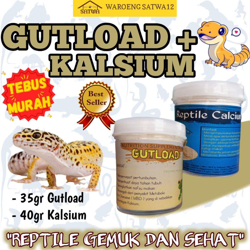 [TEBUS MURAH] paket 35gr gutload dan 40gr kalsium vitamin gecko suplemen penggemuk tokek baby salva 