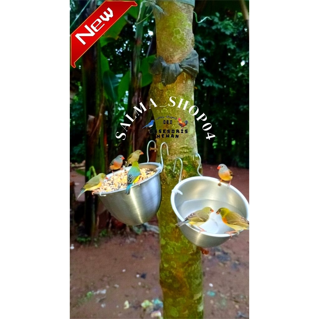 Wadah minum pakan burung batok cepuk anti tumpah