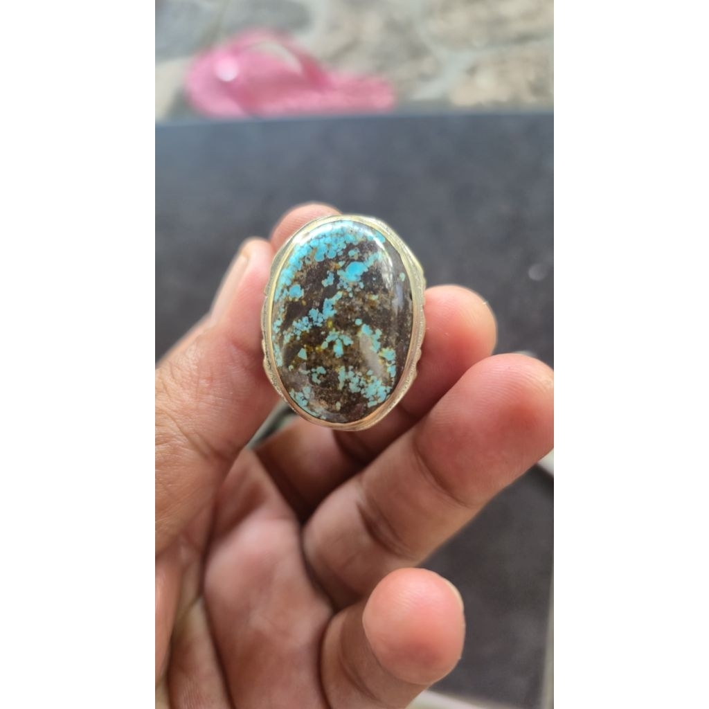 Pirus Persia jumbo lawasan murah