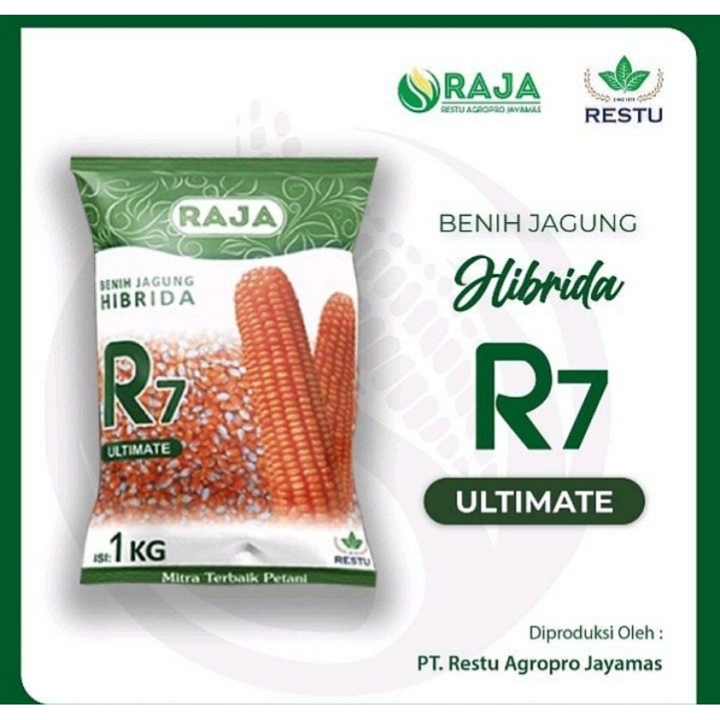 Benih Jagung Hibrida F1 R7 Ultimate 1kg