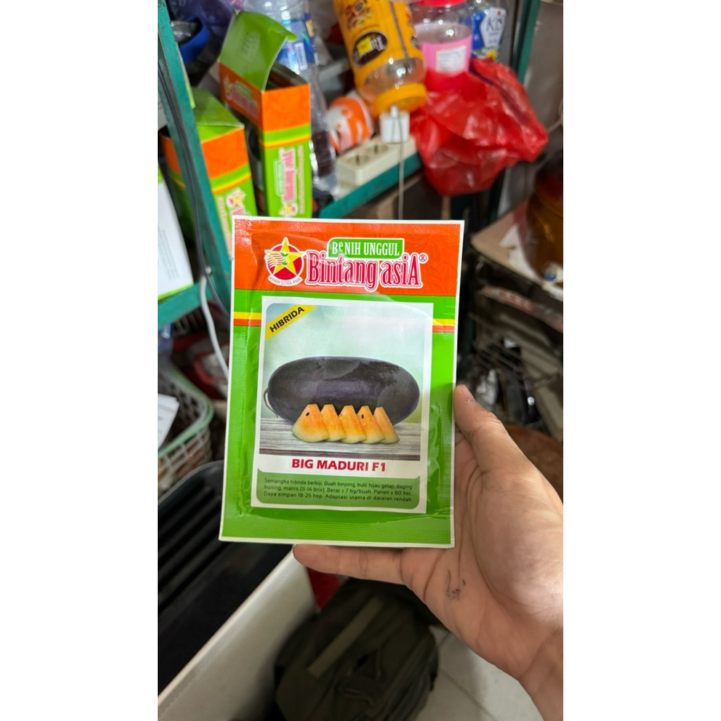 BIBIT BENIH SEMANGKA KUNING BINTANG ASIA BIG MADURI F1 20g