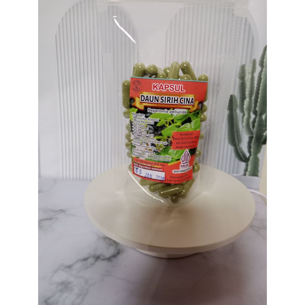 kapsul sirih cina murni dan  asli 100butir/daun sirih cina kapsul sejuta manfaat