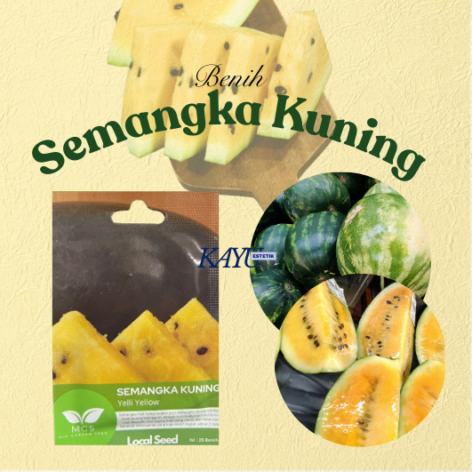 Benih Semangka Kuning/Benih Semangka Yelli Yellow/Benih Murah