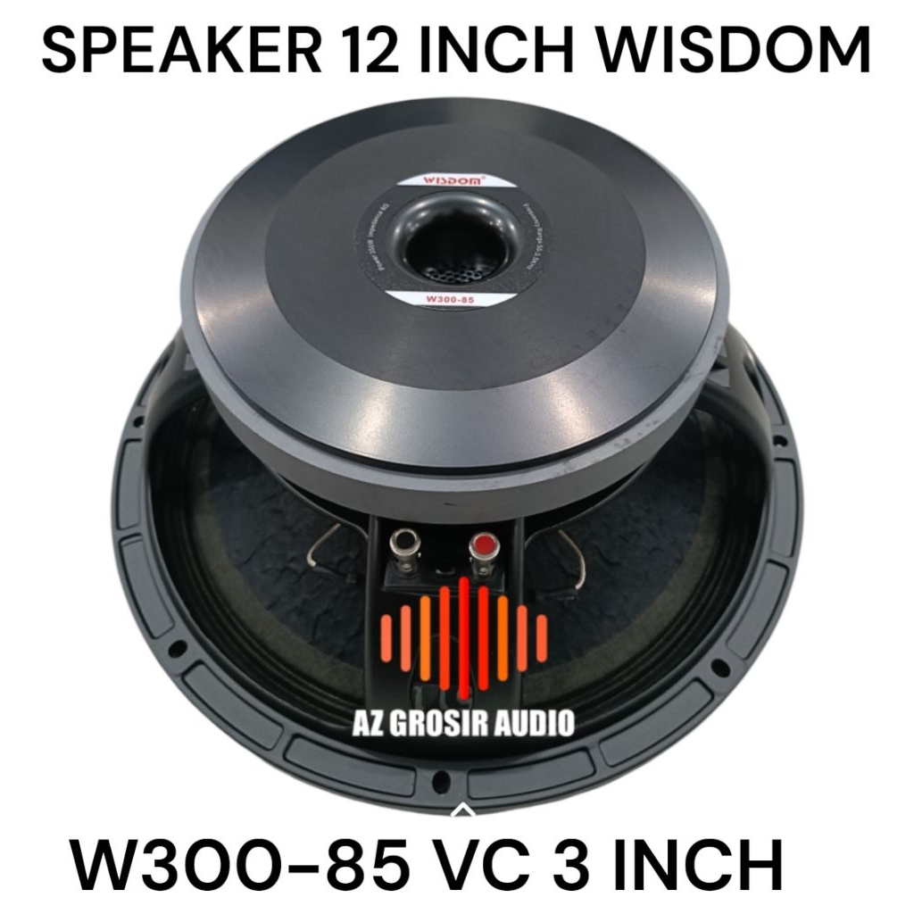 speaker 12 inch wisdom w300-85 speaker wisdom w30085