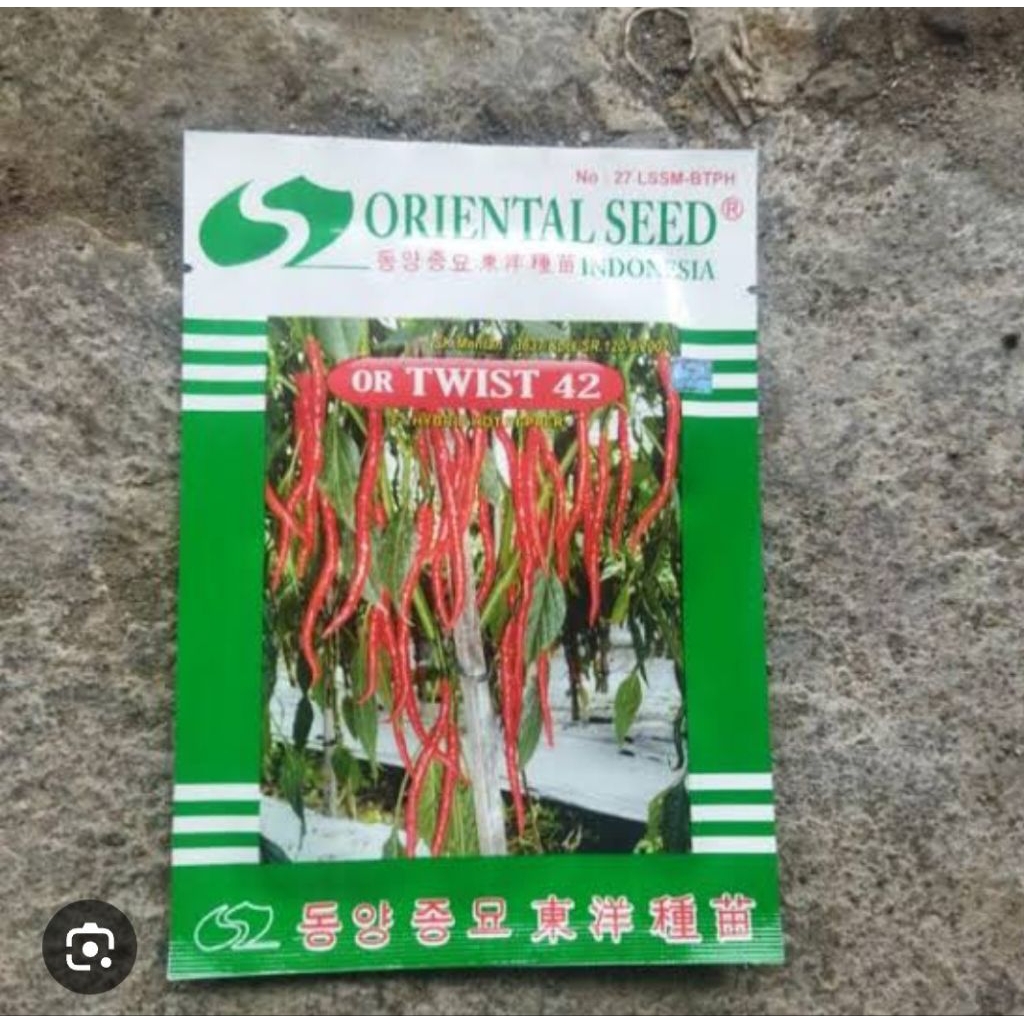 benih bibit cabe keriting OR TWIST 42 F1 10 GRAM