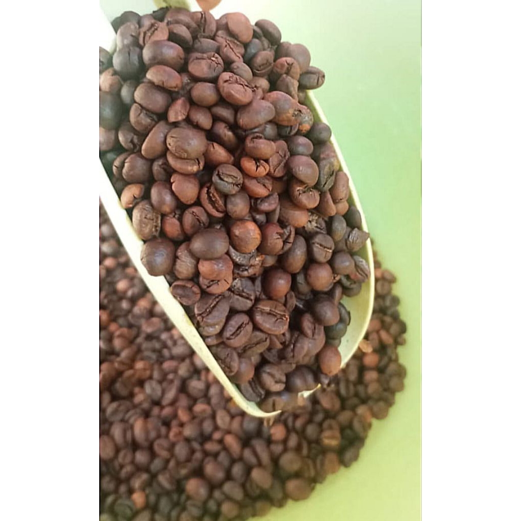 biji kopi sangrai Lampung termurah