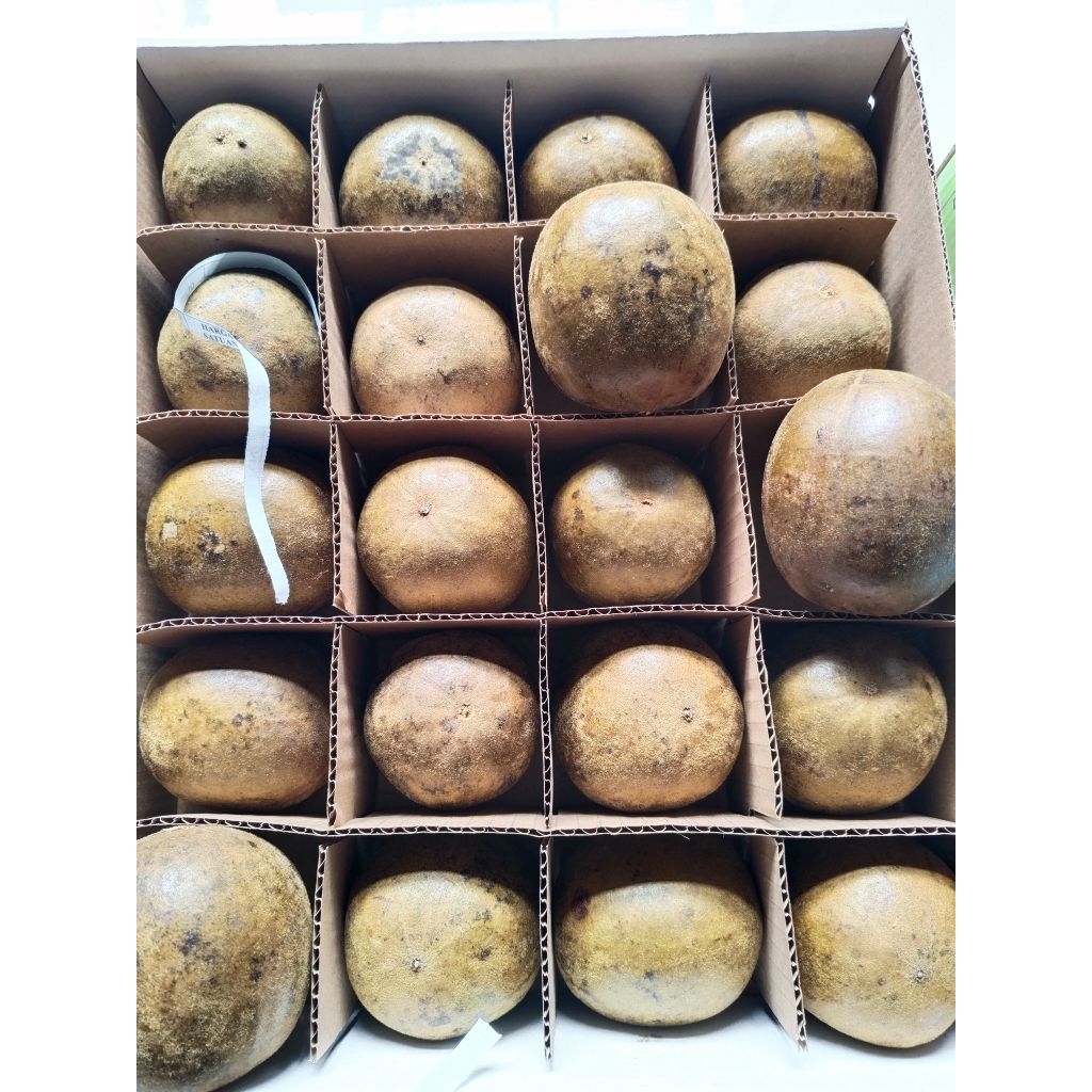 Buah LO HAN KUO 20 Biji /Buah LO HAN KUO 20 Biji
