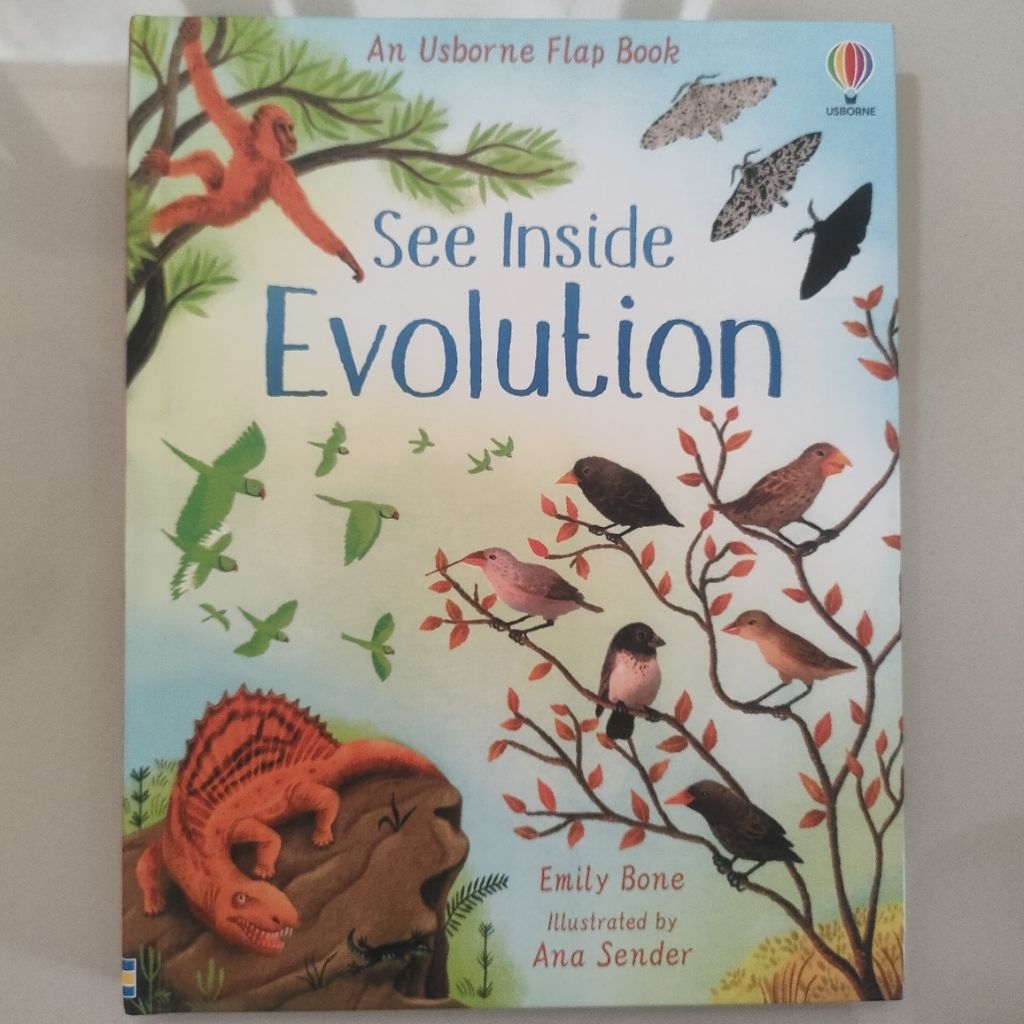 PRELOVED FLAP BOOK SEE INSIDE EVOLUTION KIDS BOOK ENGLISH BOOK
