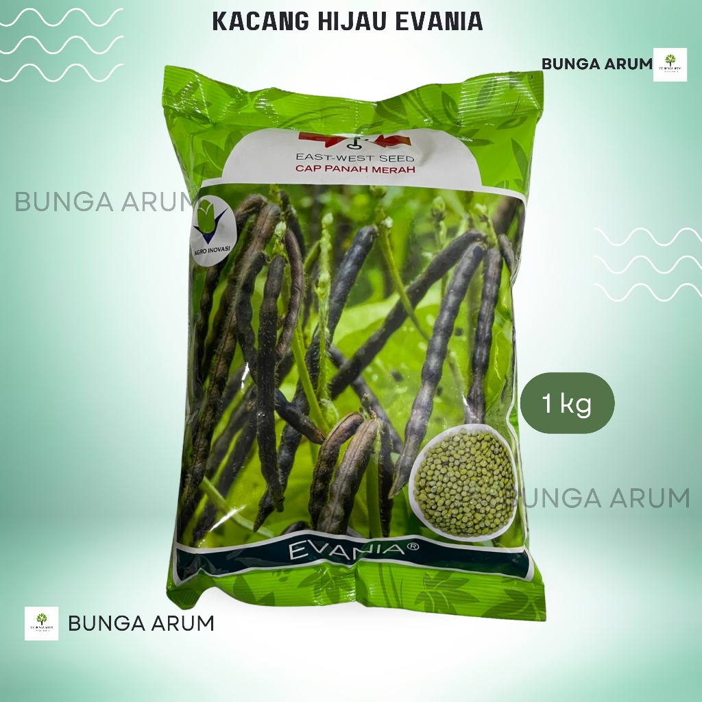Benih Kacang Hijau Evania Umur Panen 57HST 1kg