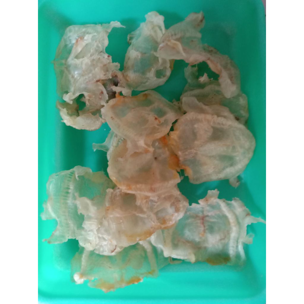 Kerupuk gelembung ikan jambal khas Pangandaran 50gram