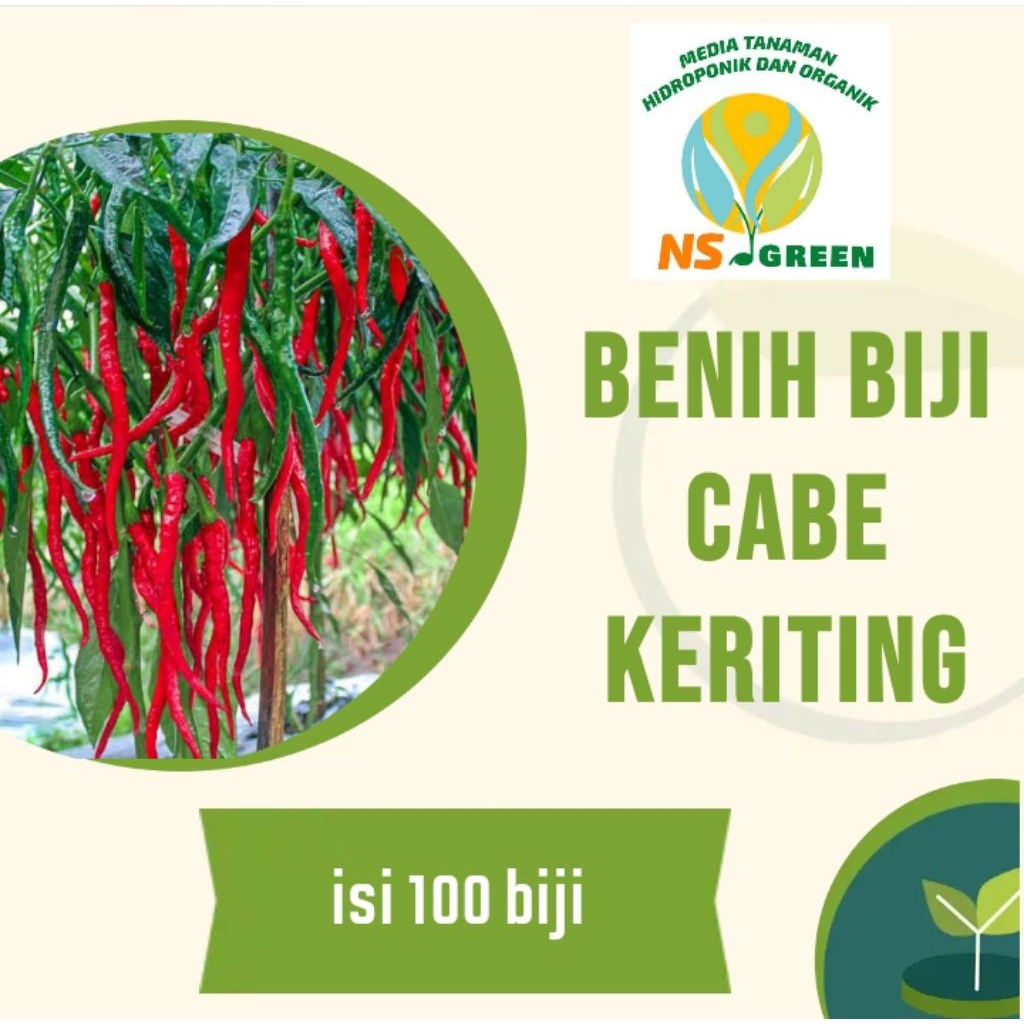 Benih Cabe Keriting Unggul isi 100 Biji -  Tahan Penyakit, Panjang, Merah Mengkilap