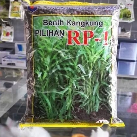 benih kangkung RP1 isi 1kg tumbuh cepat,batang renyah