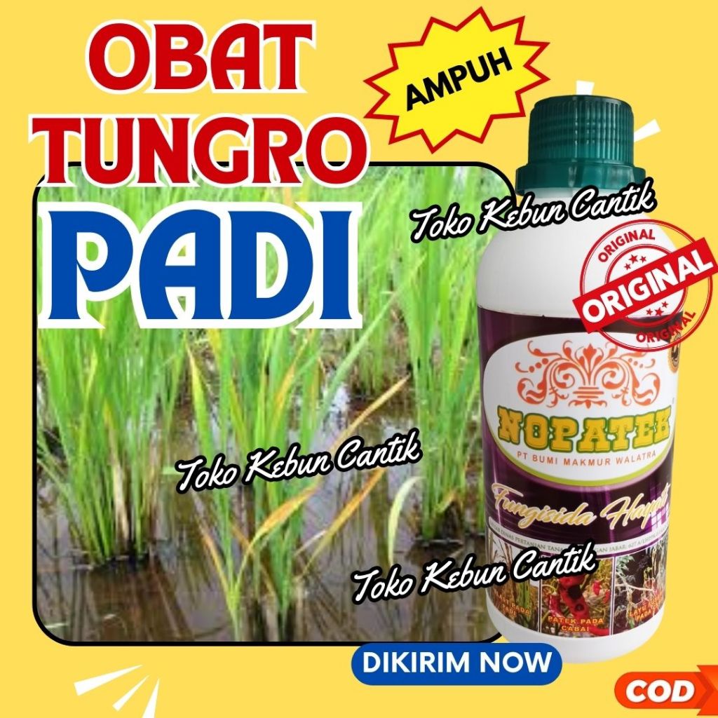 NOPATEK Obat Jamur Blast Padi 500ml Fungisida Organik