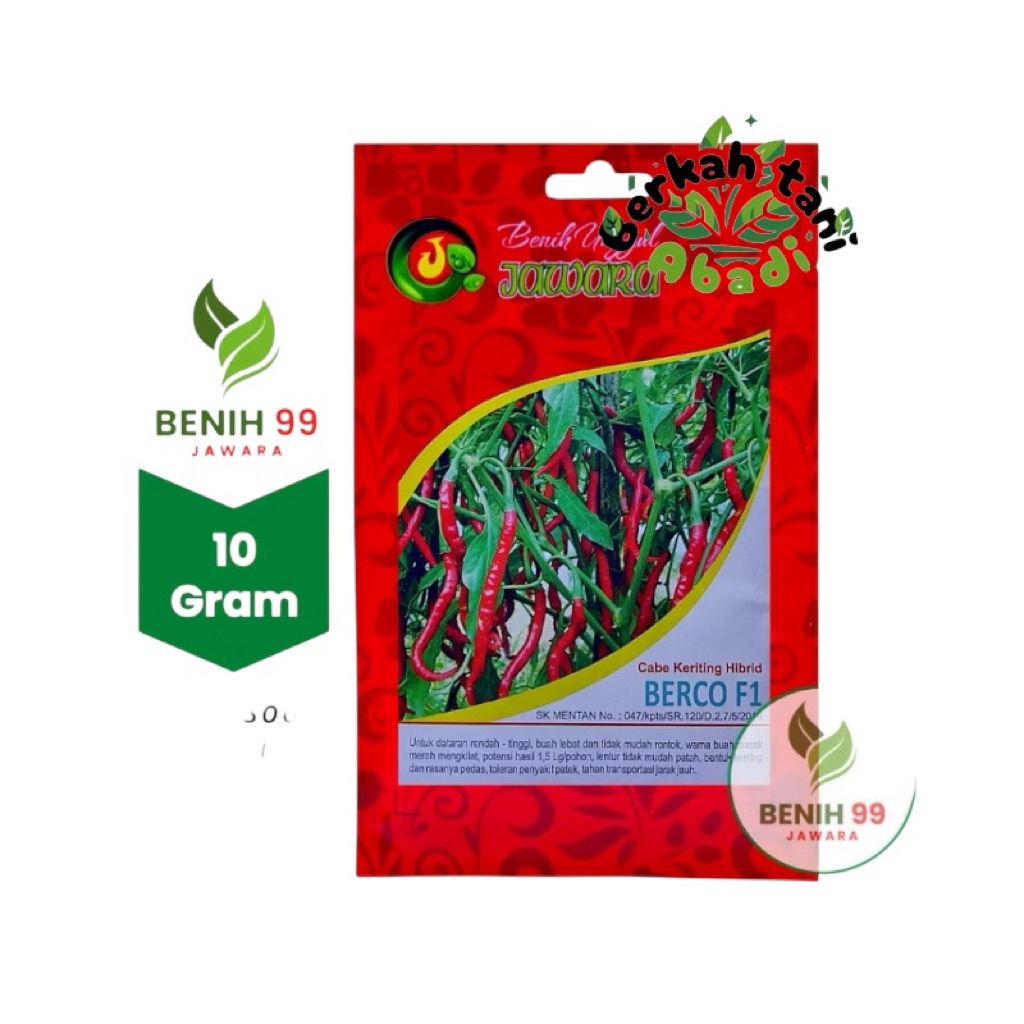 Berco F1 cabai keriting jawara