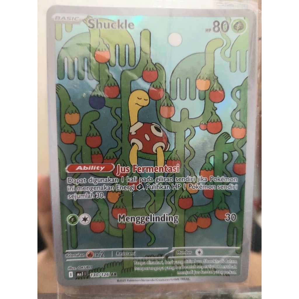 Shuckle AR evolusi mega