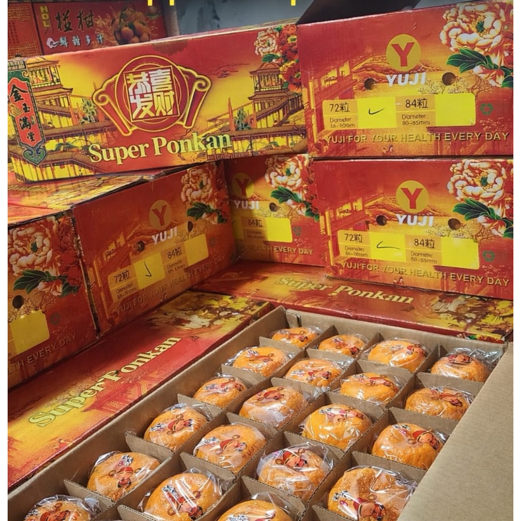 Jeruk Ponkam Yuji Jumbo Manis 15 Kg / Hampers Buah Jeruk Ponkam Yuji Gift Box