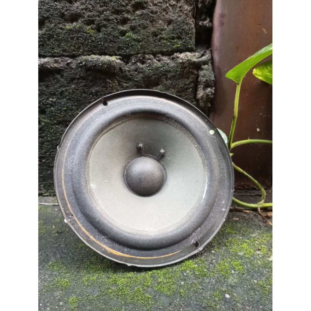 speker 6 inv SONY sebatang kara