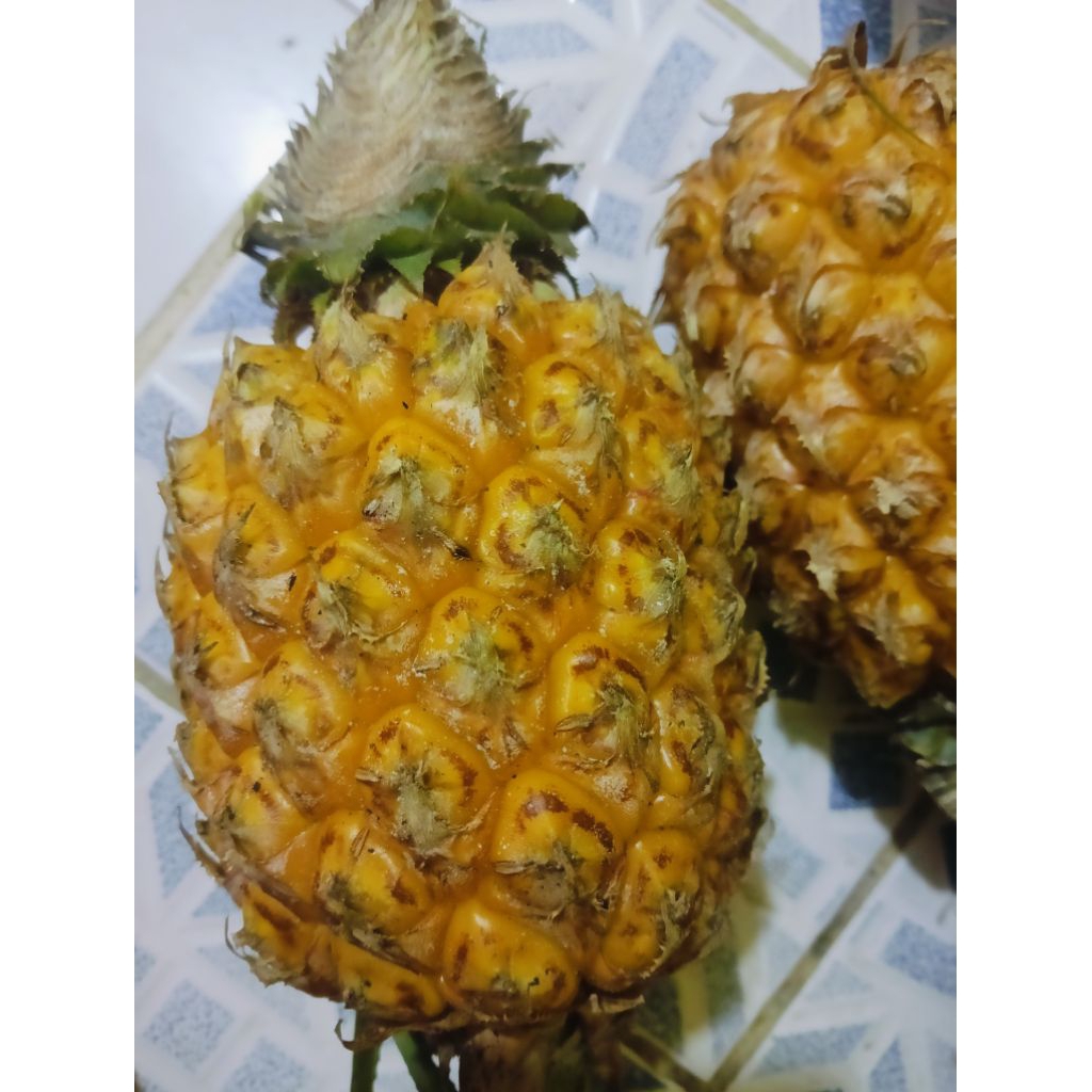 Nanas Bokondini/ nanas Papua/ nanas organik Papua/ nanas asli Papua/ nanas Wamena asli/ nenas Papua/