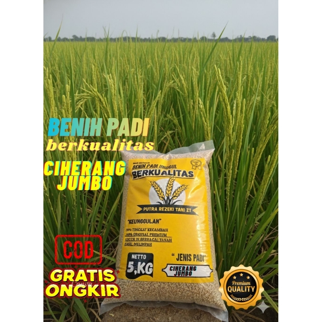 Benih padi bibit padi CIHERANG JUMBO kemasan 5kg