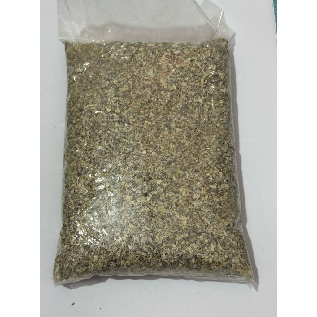 Grit remisan asinan kerang