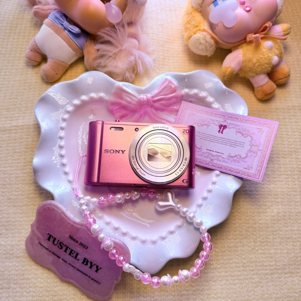 SONY CYBERSHOT WX300 PINK NO MINUS DIGICAM CANTIK SECOND