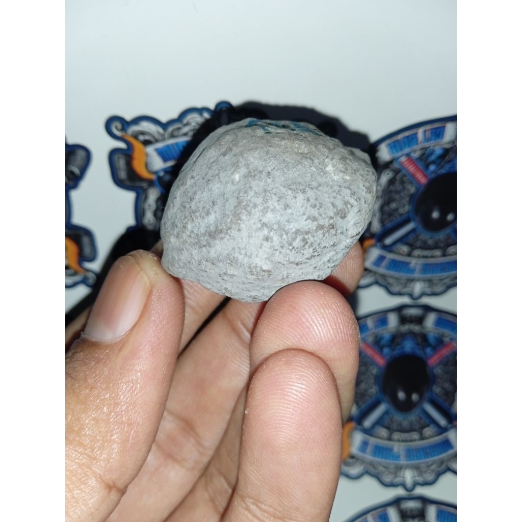 Muncang Adu Yanti Pelangi / PL Original Grade A