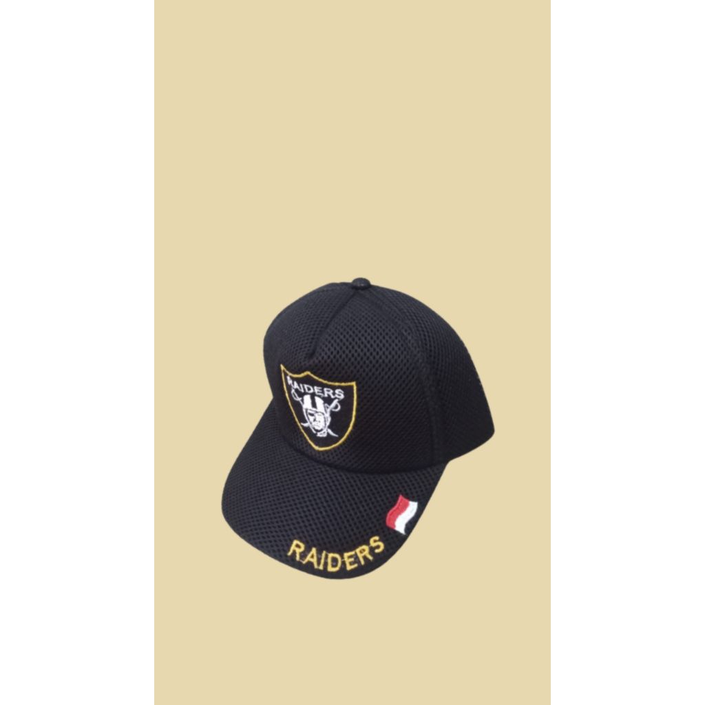 Topi Raiders