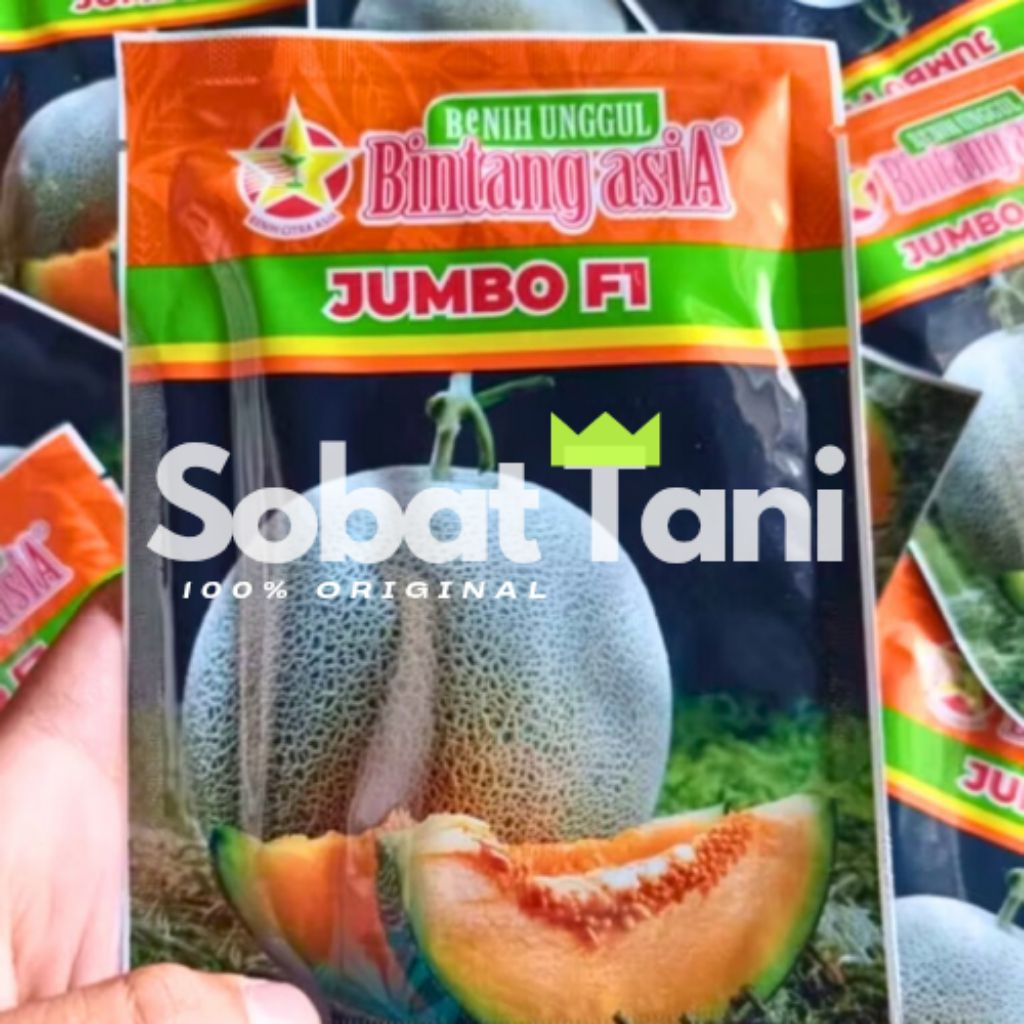 Benih Melon JUMBO F1 – Bintang Asia Original 20gram