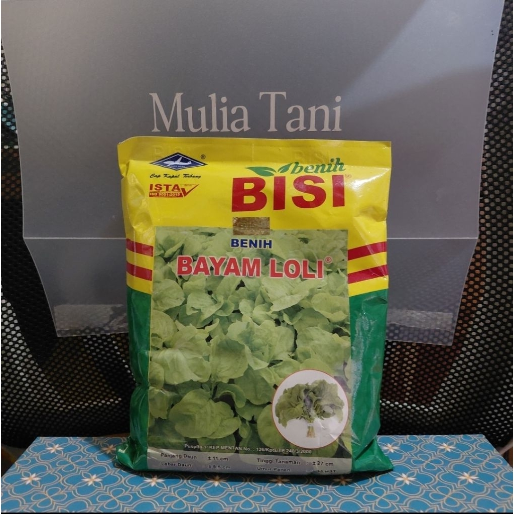 Benih Bayam Loli "Cap Kapal Terbang"