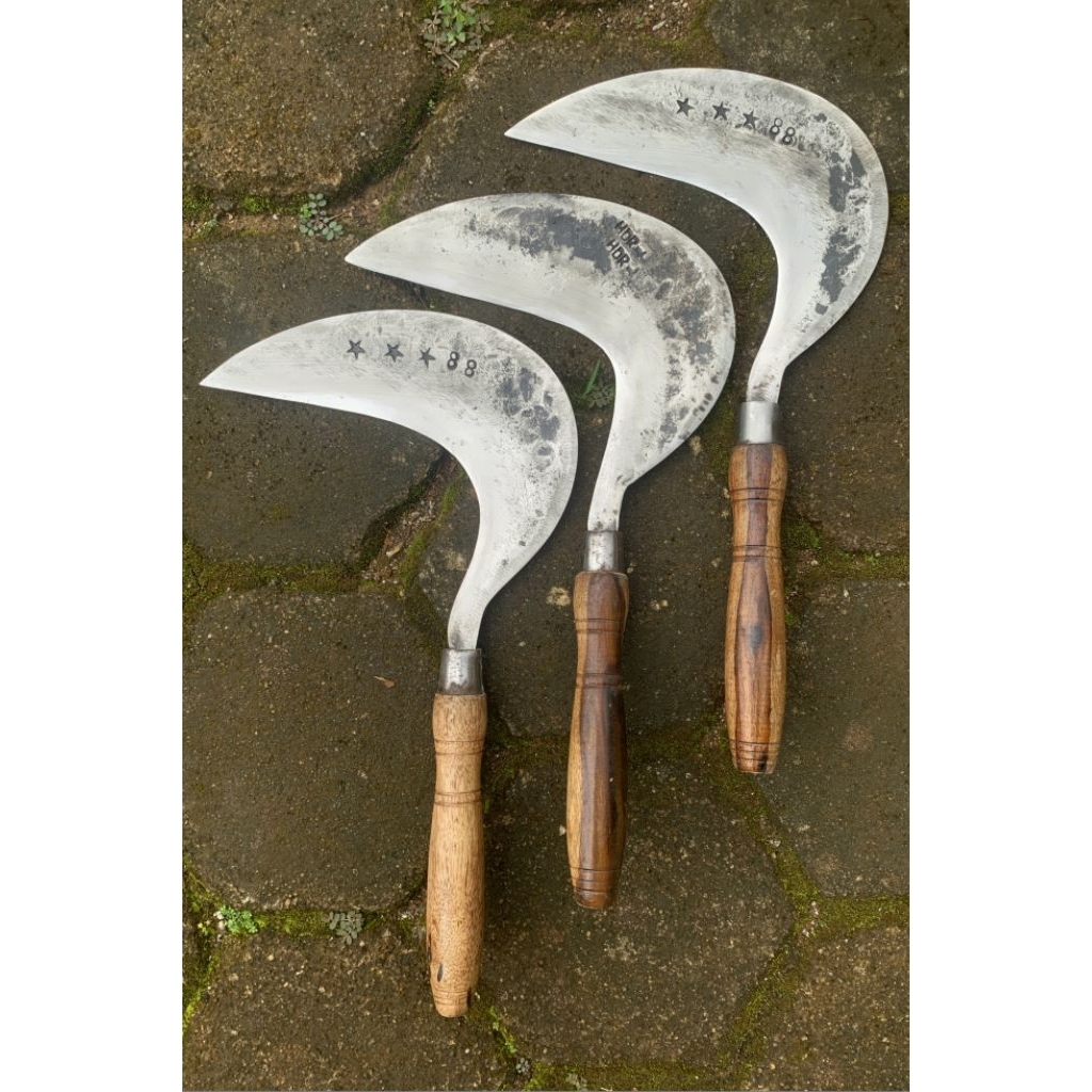 Sabit Rumput Super Tajam Full Baja Per | Arit Buat Ngarit & Panen Padi