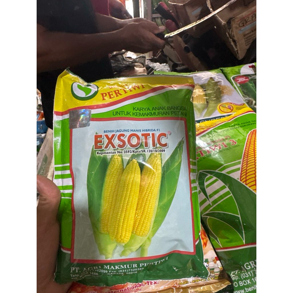 jagung manis exsotic 250gr