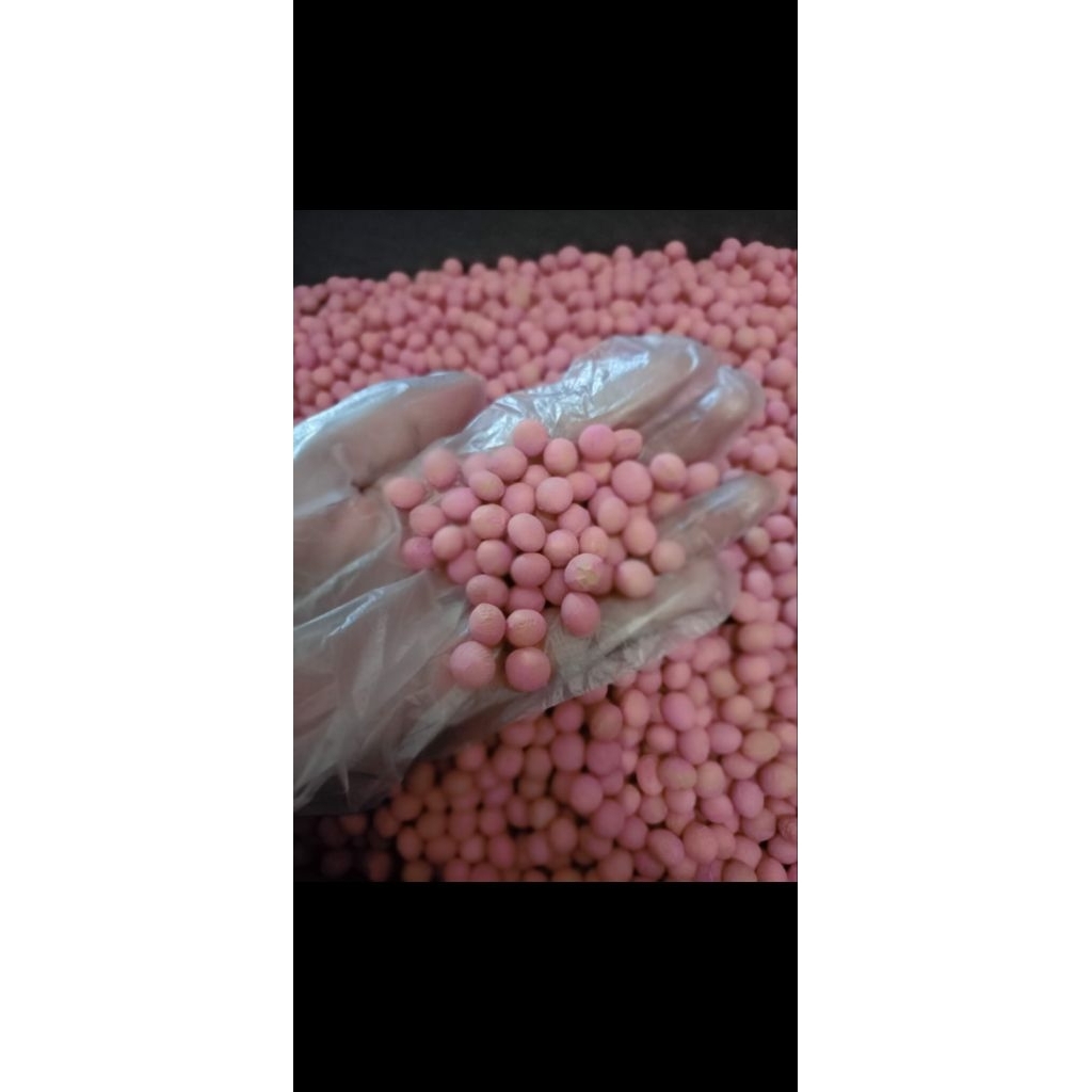 BENIH EDAMAME KEDELAI JEPANG berat 1 Kg