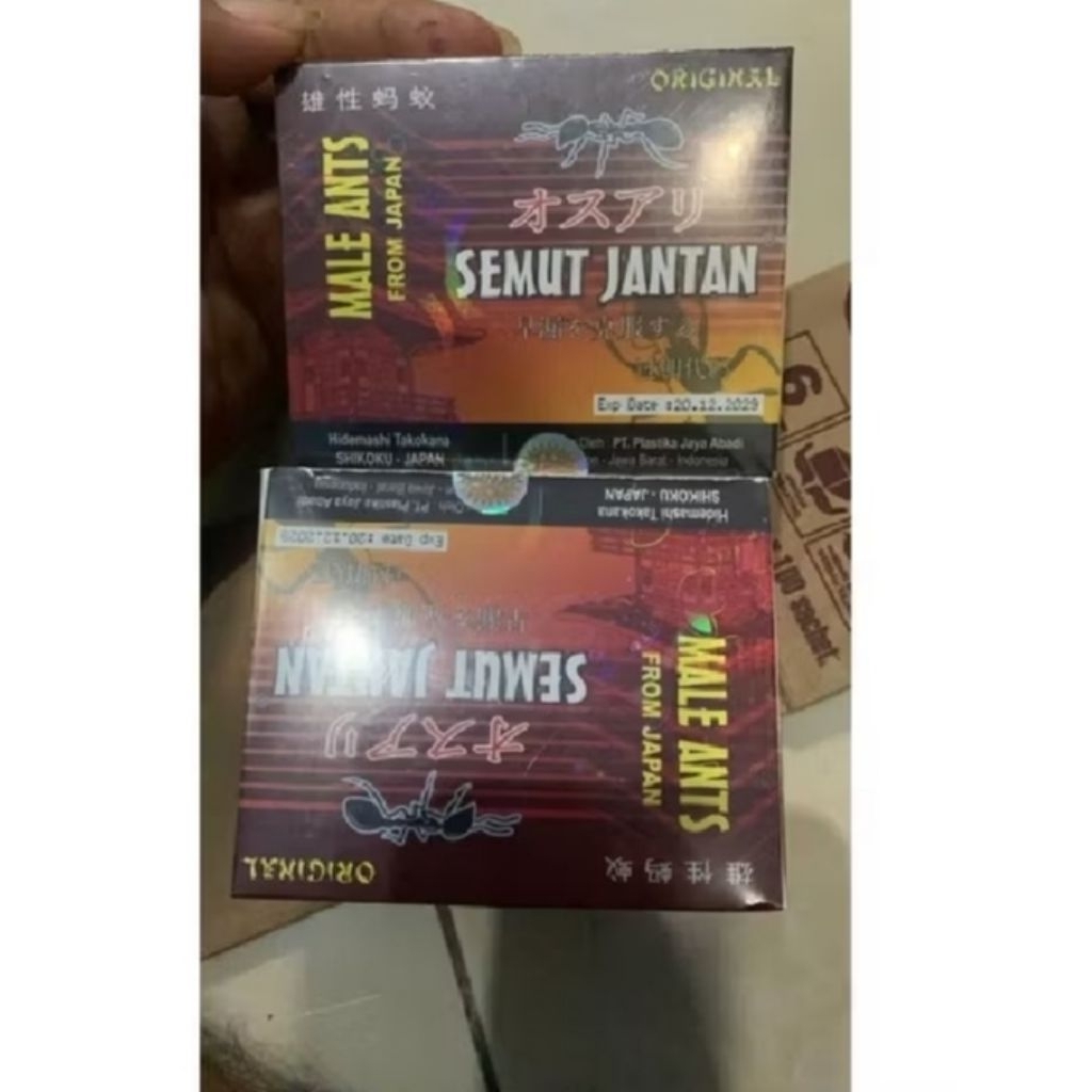 SEMUT jantan(original)