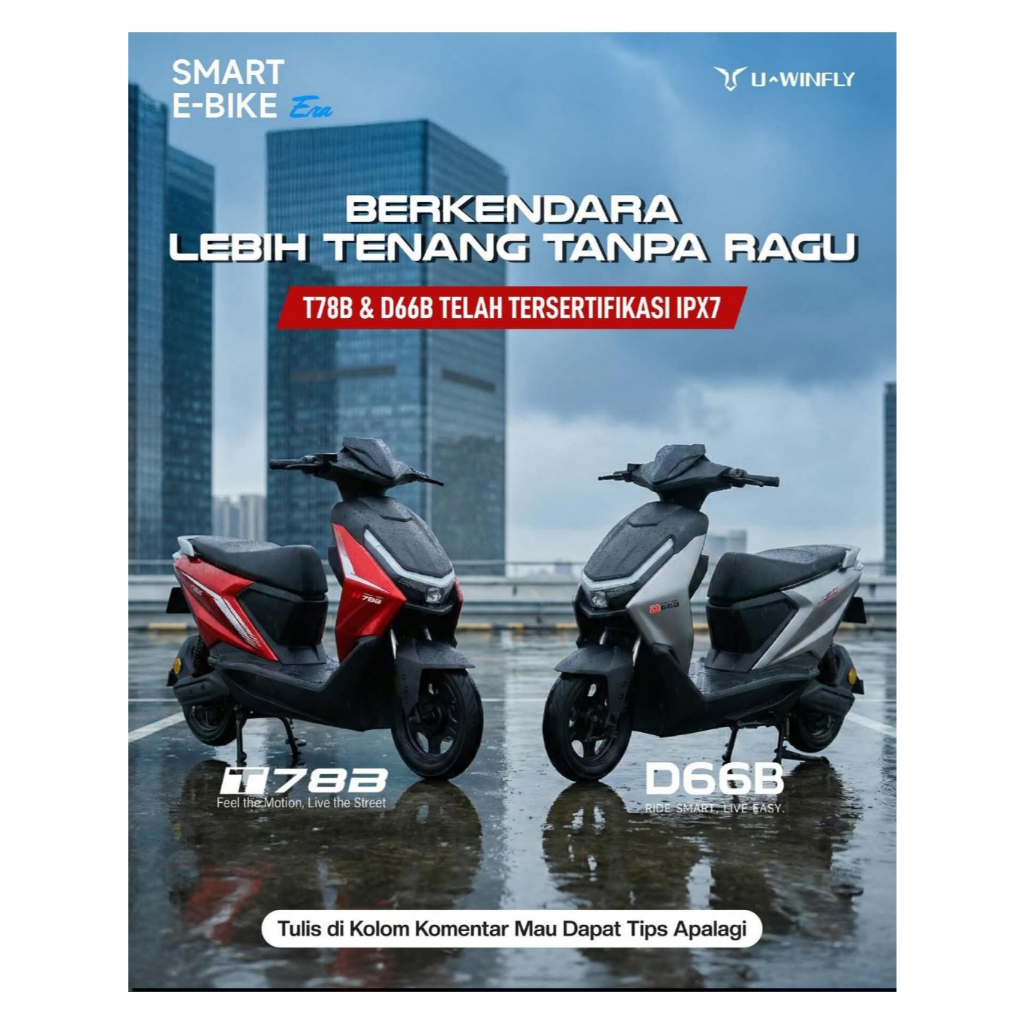 Sepeda Listrik Uwinfly D66A & D66B