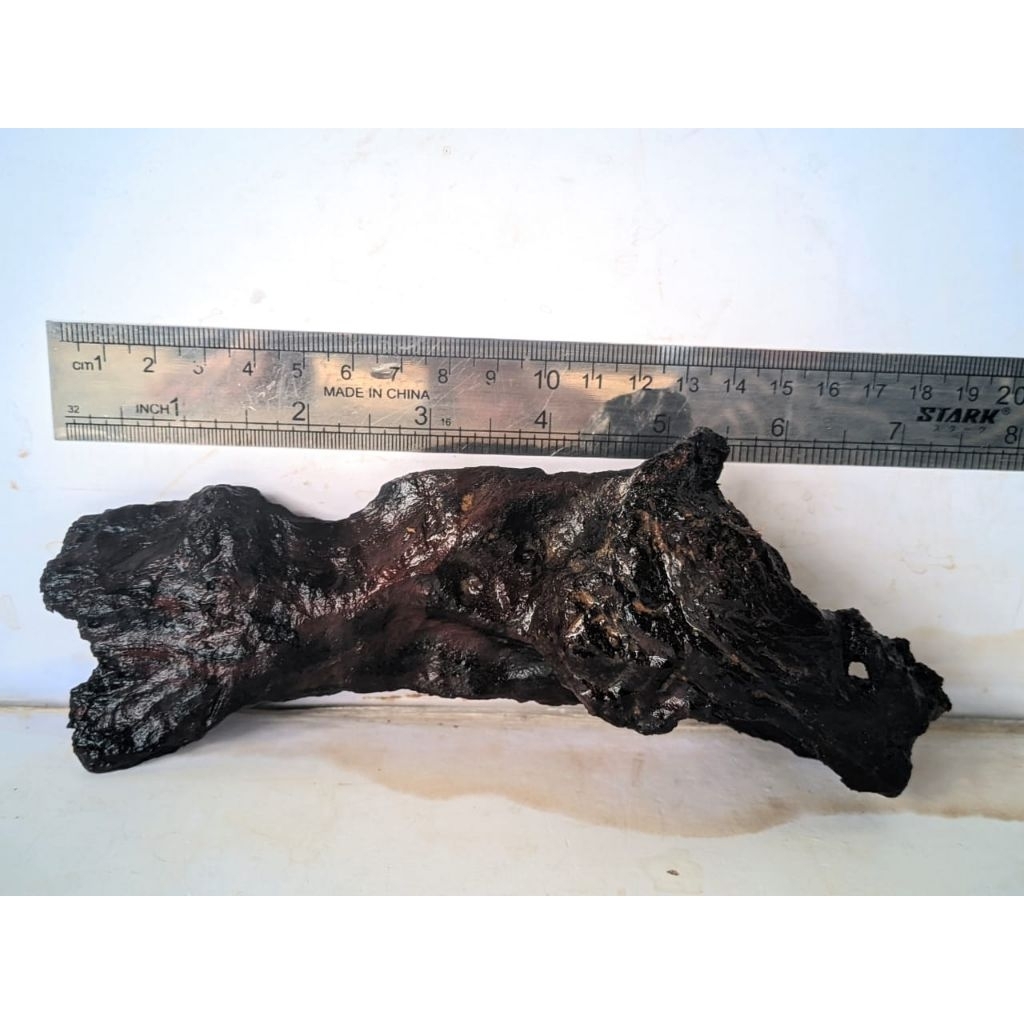 kayu rentek aquascape tenggelam