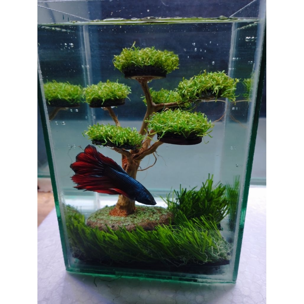 solitaire akuarium mini bonsai akuascape daun sintetis