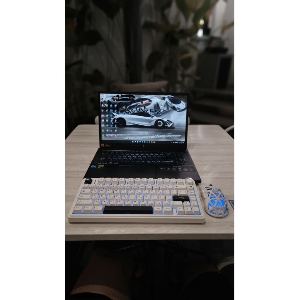 Acer Nitro V15 Second