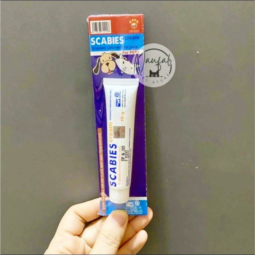 Saleb Scabies Kucing Obat Scabies Kucing Berfungsi Mengatasi Scabies Secara Efektif