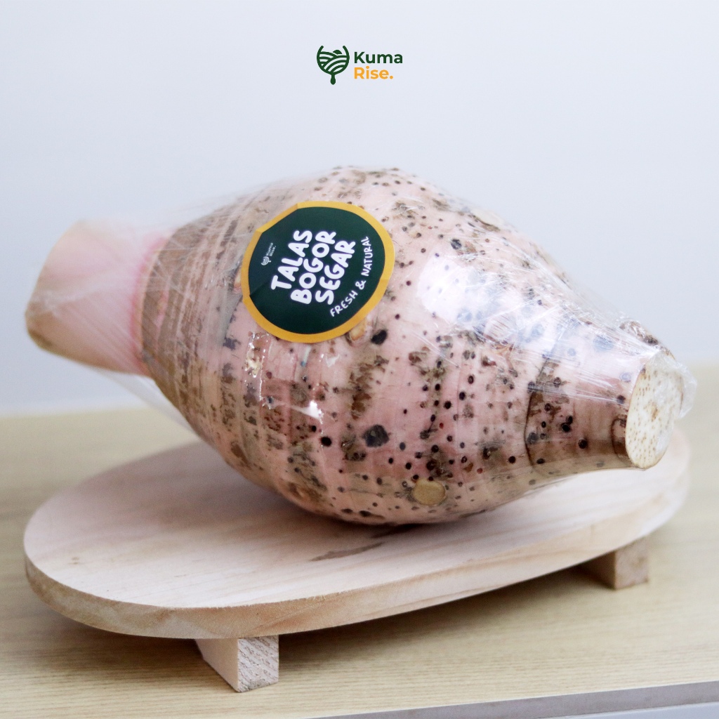 TALAS BOGOR FRESH Mentah Dadakan Dari Kebun Sendiri Enak dan Pulen Ukuran Besar by KUMARISE