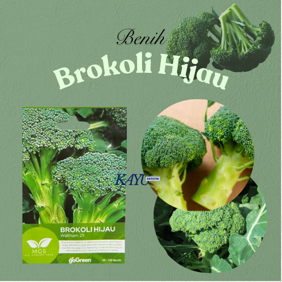 Benih Brokoli/Benih Brokoli Hijau Waltham 29/Benih Murah