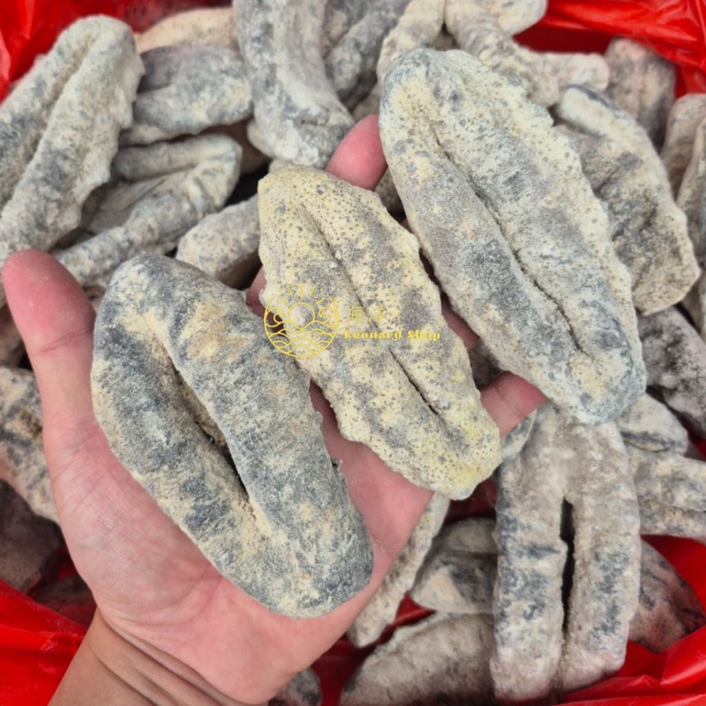 HAISOM SUSU PUTIH / TUBOSOM 500GR SUPER KERING ( 1 KILO JADI 4-5 KG) BERKUALITAS BESAR TEBAL DAN KEN