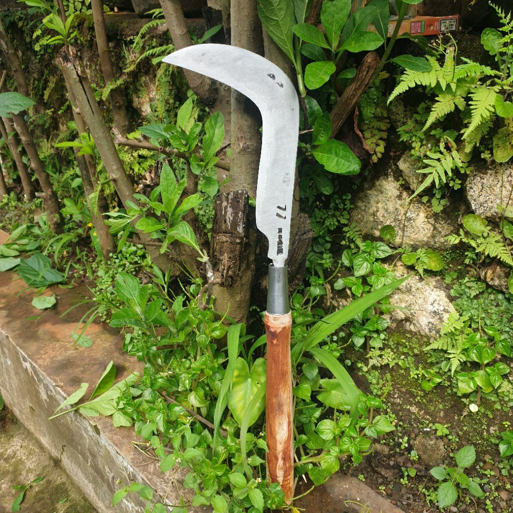 Candung Pemangkas Salak.baja isen