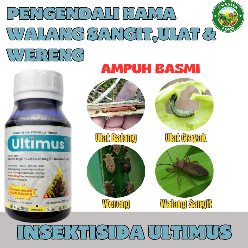 Ultimus Insektisida Pembasmi Wereng Paling Ampuh 100ML