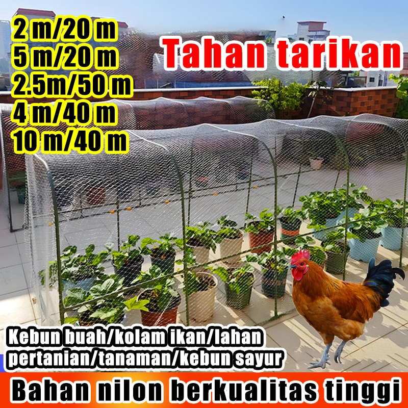 Jaring Ayam 3m x 25-50 Meter Jaring Pagar Ayam JARING KANDANG JARING AYAM MURAH JARING AYAM METERAN 