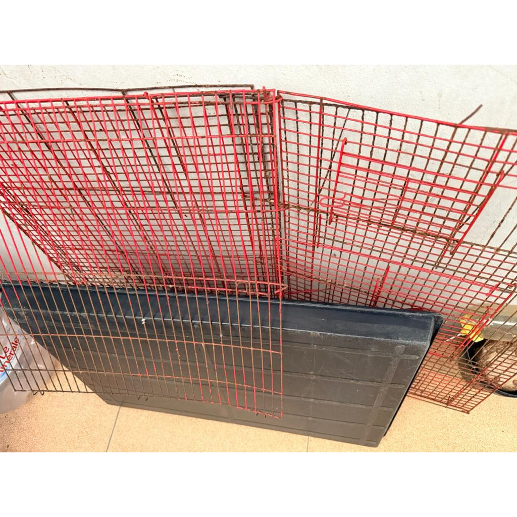 preloved kandang kelinci/kucing M