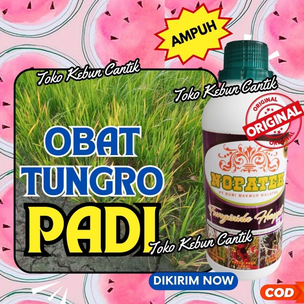 Obat Blast Padi Organik Terbukti Ampuh NOPATEK 500ml