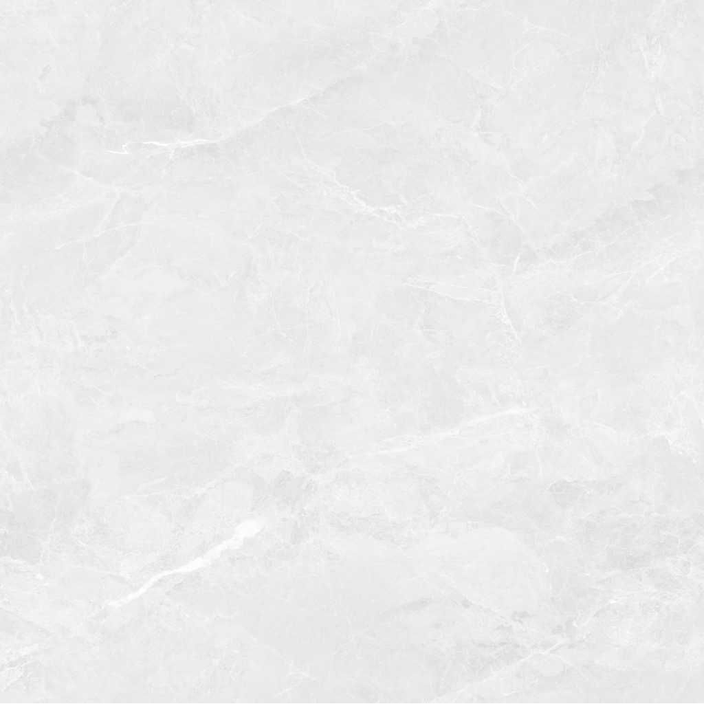 Granite lantai 60x60 RAFA WHITE | Matt