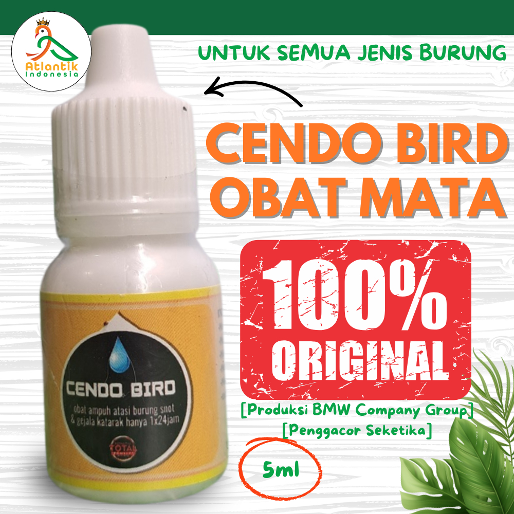 [TERMURAH] Cendo Bird Obat burung Sakit Mata Katarak berlendir berair Mata Snot