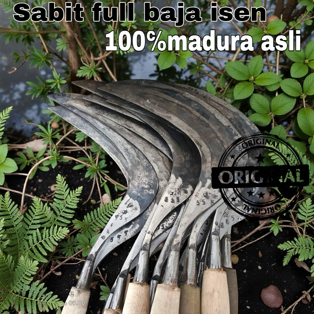 Sabit rumput madura 100%full baja isen