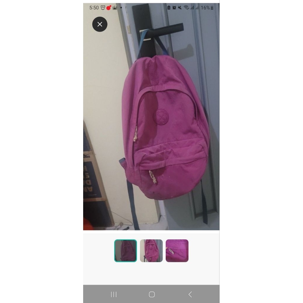 tas export carousel